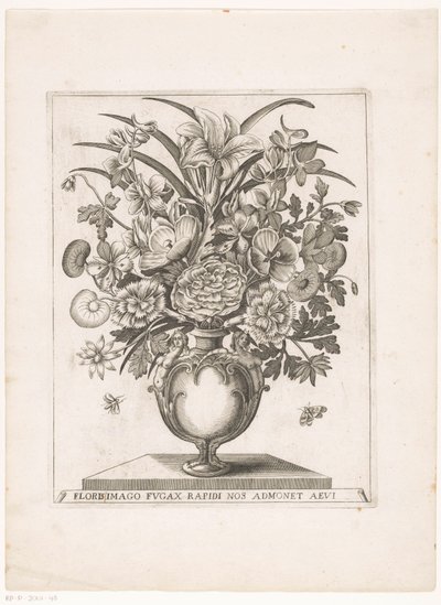التقى Bloemen in vaas halffiguren صورة زهرة (أزهار) وميض بسرعة تذكرنا بالعمر (العنوان على الكائن) بواسطة جاكوبوس كيمبينر
