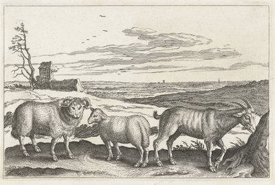 الماعز والغنم الحيوانات ذات الأرجل الأربعة (عنوان السلسلة) Animalivm Qvaddrvpedvm (عنوان المسلسل) بواسطة نيكولاس فيشر (الأول) (منسوب إلى)