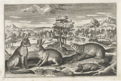 حيوانات الغابة الحيوانات ذات الأرجل الأربعة (عنوان السلسلة) Animalivm Qvaddrvpedvm (عنوان المسلسل) بواسطة نيكولاس فيشر (الأول) (منسوب إلى)