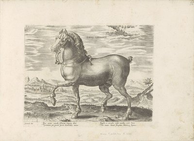 Duits paard الحصان الألماني (العنوان على الكائن) Paardenrassen uit de Koninklijke stallen van Don Juan van Oostenrijk (عنوان المسلسل) الحصان الذي فيه جميع أنواع النبلاء: تم اختيار سلوك خيول متميز من مختلف بقاع العالم (...) (عنوان المسلسل على ob بواسطة هندريك جولتزيوس (رفض الإسناد)
