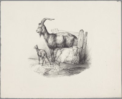 ماعز وماعز وحمل ستة دراسات حيوانية صغيرة (عنوان السلسلة) ستة دراسات عن الحيوانات الصغيرة (عنوان السلسلة على الكائن) بواسطة مجهول