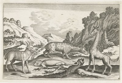 حيوانات غريبة الحيوانات ذات الأرجل الأربعة (عنوان السلسلة) Animalivm Qvaddrvpedvm (عنوان المسلسل) بواسطة نيكولاس فيشر (الأول) (منسوب إلى)