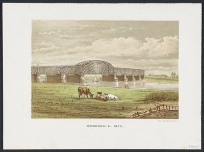 جسر سكة حديد Hedelse فوق Maas ، 1870 جسر للسكك الحديدية في Hedel (العنوان على الكائن) جسور السكك الحديدية الرئيسية في هولندا (عنوان السلسلة) بواسطة بروس وشركاه.
