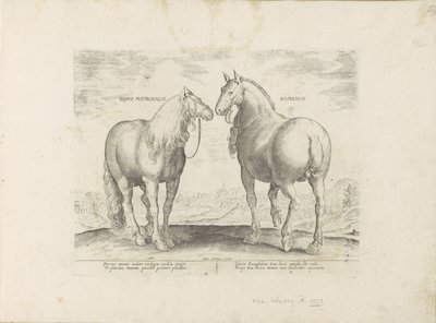 Hengst en merrie uit Rome الحصان الروماني (العنوان على الكائن) Paardenrassen uit de Koninklijke stallen van Don Juan van Oostenrijk (عنوان المسلسل) الحصان الذي فيه جميع أنواع النبلاء: يتميز سلوك خيول منتقاة من مختلف أنحاء العالم ( بواسطة جان فان دير سترايت