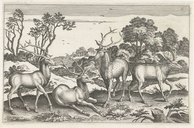 عزيزي الحيوانات ذات الأرجل الأربعة (عنوان السلسلة) Animalivm Qvaddrvpedvm (عنوان المسلسل) بواسطة نيكولاس فيشر (الأول) (منسوب إلى)