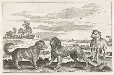 كلاب الحيوانات ذات الأرجل الأربعة (عنوان السلسلة) Animalivm Qvaddrvpedvm (عنوان المسلسل) بواسطة نيكولاس فيشر (الأول) (منسوب إلى)