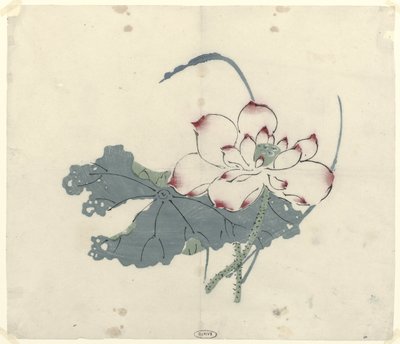 لوتس بواسطة Zhengyen Hu (Ten Bamboo's Studio)