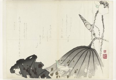 ورقة اللوتوس ألبوم Shijo-surimono من الفترة 1840-1900 (عنوان السلسلة) بواسطة مجهول