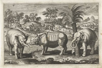 الفيلة ووحيد القرن الحيوانات ذات الأرجل الأربعة (عنوان السلسلة) Animalivm Qvaddrvpedvm (عنوان المسلسل) بواسطة كلايس جانز. فيشر (الثاني) (ربما)