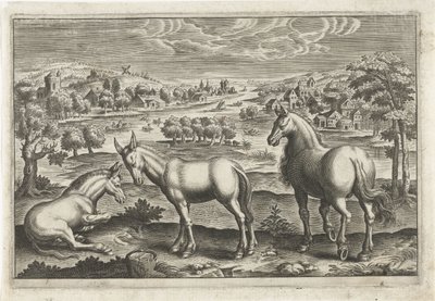 الخيول والحمير الحيوانات ذات الأرجل الأربعة (عنوان السلسلة) Animalivm Qvaddrvpedvm (عنوان المسلسل) بواسطة كلايس جانز. فيشر (الثاني) (ربما)