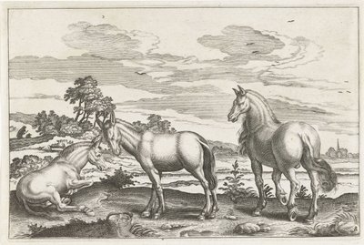 الخيول والحمير الحيوانات ذات الأرجل الأربعة (عنوان السلسلة) Animalivm Qvaddrvpedvm (عنوان المسلسل) بواسطة نيكولاس فيشر (الأول) (منسوب إلى)