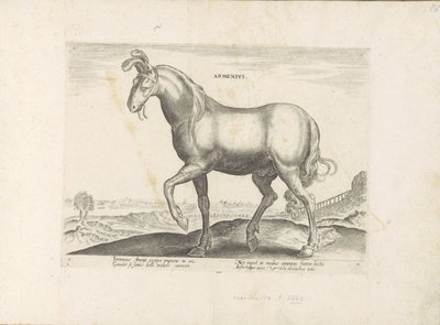 Paard uit Armeni أرمينيوس (العنوان على الكائن) Paardenrassen uit de Koninklijke stallen van Don Juan van Oostenrijk (عنوان المسلسل) الحصان الذي فيه جميع أنواع النبلاء: تم اختيار سلوك خيول متميز من مختلف بقاع العالم (...) (عنوان المسلسل على ob بواسطة جان فان دير سترايت