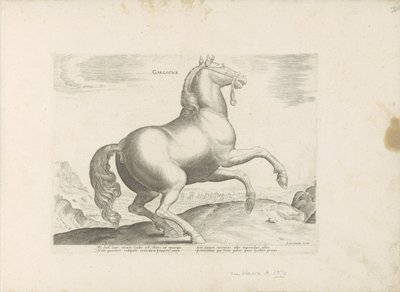 Paard uit Frankrijk الفرنسية (العنوان على الكائن) Paardenrassen uit de Koninklijke stallen van Don Juan van Oostenrijk (عنوان المسلسل) الحصان الذي فيه جميع أنواع النبلاء: تم اختيار سلوك خيول متميز من مختلف بقاع العالم (...) (عنوان المسلسل على بواسطة جان فان دير سترايت