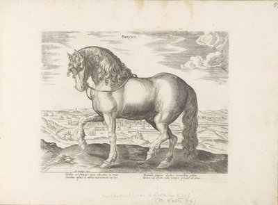 Paard uit Friesland Phryso (العنوان على الكائن) Paardenrassen uit de Koninklijke stallen van Don Juan van Oostenrijk (عنوان المسلسل) الحصان الذي فيه جميع أنواع النبلاء: تم اختيار سلوك خيول متميز من مختلف بقاع العالم (...) (عنوان المسلسل على ob بواسطة جان فان دير سترايت