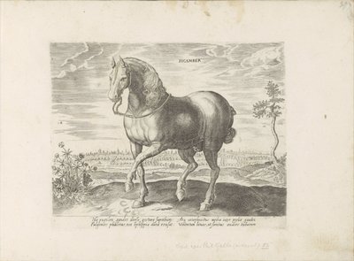 Paard uit Gelre Sicamber (العنوان على الكائن) Paardenrassen uit de Koninklijke stallen van Don Juan van Oostenrijk (عنوان المسلسل) الحصان الذي فيه جميع أنواع النبلاء: تم اختيار سلوك خيول متميز من مختلف أنحاء العالم (...) (عنوان السلسلة على obje بواسطة جان فان دير سترايت
