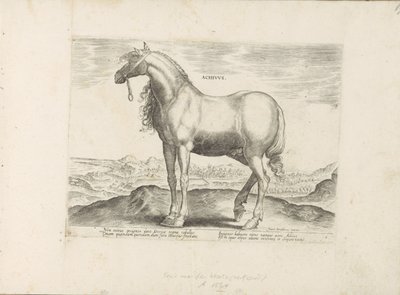 Paard من اليونان Achivus (العنوان على الكائن) Paardenrassen uit de Koninklijke stallen van Don Juan van Oostenrijk (عنوان المسلسل) الحصان الذي فيه جميع أنواع النبلاء: تم اختيار سلوك خيول متميز من مختلف بقاع العالم (...) (عنوان المسلسل على بواسطة جان فان دير سترايت