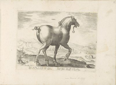 Paard uit Saksen ساكسو (العنوان على الكائن) Paardenrassen uit de Koninklijke stallen van Don Juan van Oostenrijk (عنوان المسلسل) الحصان الذي فيه جميع أنواع النبلاء: اختيار سلوك خيول متميز من مختلف أنحاء العالم (...) (عنوان السلسلة على الكائن) بواسطة جان فان دير سترايت