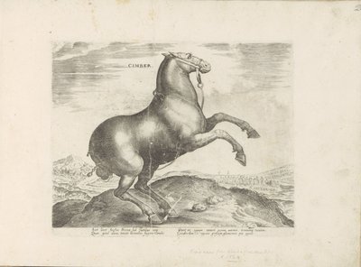 Paard uit Scythia سيمبر (العنوان على الكائن) Paardenrassen uit de Koninklijke stallen van Don Juan van Oostenrijk (عنوان المسلسل) الحصان الذي فيه جميع أنواع النبلاء: تم اختيار سلوك خيول متميز من مختلف أنحاء العالم (...) (عنوان السلسلة على obje بواسطة جان فان دير سترايت