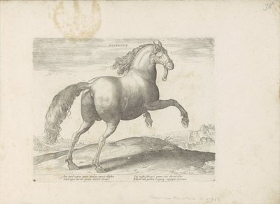 Paard uit Spanje الإسبانية (العنوان على الكائن) Paardenrassen uit de Koninklijke stallen van Don Juan van Oostenrijk (عنوان المسلسل) الحصان الذي فيه جميع أنواع النبلاء: تم اختيار سلوك خيول متميز من مختلف أنحاء العالم (...) (عنوان المسلسل على الهدف بواسطة جان فان دير سترايت