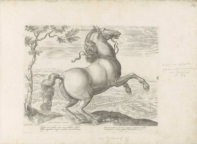 Paard uit Toscane توسكانا (العنوان على الكائن) الحصان الذي فيه جميع أنواع النبلاء: اختيار سلوك خيول متميز من مختلف أنحاء العالم (...) (عنوان السلسلة على الكائن) بواسطة جان فان دير سترايت