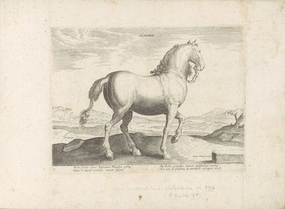 Paard uit Vlaanderen Flander (العنوان على الكائن) Paardrassen uit de Koninklijke stallen van Don Juan van Oostenrijk (عنوان السلسلة) الحصان ، حيث كل سلالة نبيلة: سلوك الخيول المختارة من أجزاء مختلفة من العالم (...) ( عنوان المسلسل على بواسطة هندريك جولتزيوس (رفض الإسناد)