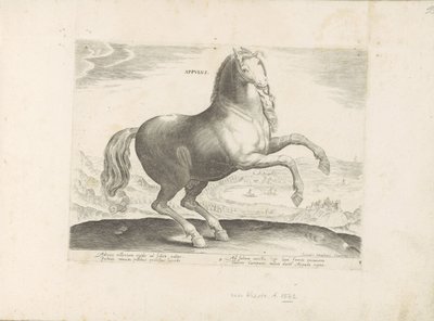 Paard uit Zuid-Italië Appulus (العنوان على الكائن) Paardrassen uit de Koninklijke stallen van Don Juan van Oostenrijk (عنوان السلسلة) الحصان ، حيث يتم اختيار كل نوع من النبلاء: سلوك الخيول المتميز عن أجزاء مختلفة من العالم (.. .) (عنوان المسلسل قيد التشغيل بواسطة جان فان دير سترايت