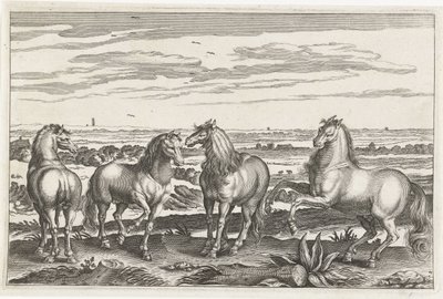 خيل الحيوانات ذات الأرجل الأربعة (عنوان السلسلة) Animalivm Qvaddrvpedvm (عنوان المسلسل) بواسطة نيكولاس فيشر (الأول) (منسوب إلى)