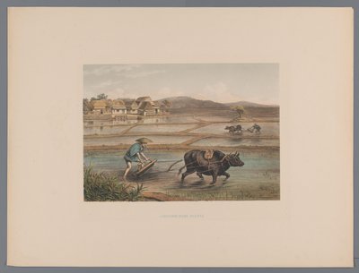 مزارعون يحرثون في حقول الأرز اليابانية Laborage d'une riziere (العنوان على الكائن) Souvenir du Japon vues d'après nature avec texte par le comte de Lijnden (عنوان السلسلة) بواسطة مجهول