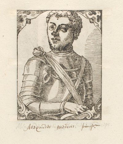 Portret van Alessandro de 
