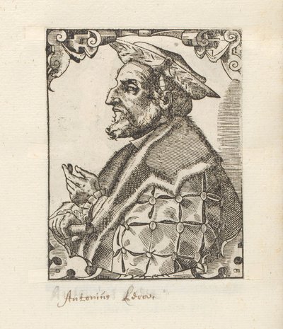 Portret van Antonio de Leyva بواسطة موالف توبياس