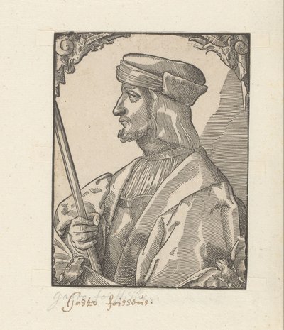 Portret van Gaston de Foix بواسطة موالف توبياس