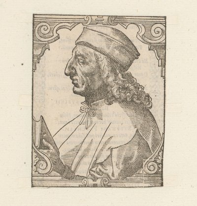 Portret van Julius Pomponius Laetus بواسطة مجهول