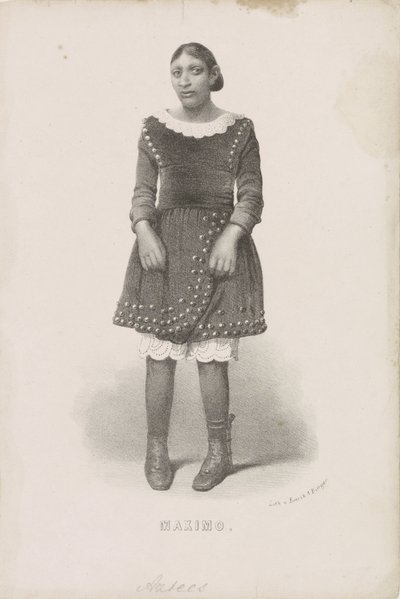 بورتريت فان ماكسيمو ، 1857 ماكسيمو (العنوان على الكائن) بواسطة إمريك وبينجر