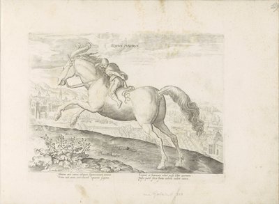 رينبارد التقى رويتر حصان مغاربي (العنوان على الكائن) Paardenrassen uit de Koninklijke stallen van Don Juan van Oostenrijk (عنوان المسلسل) الحصان الذي فيه كل أنواع النبلاء: سلوك خيول متميز من مختلف بقاع العالم مختار (...) (عنوان المسلسل) بواسطة جان فان دير سترايت