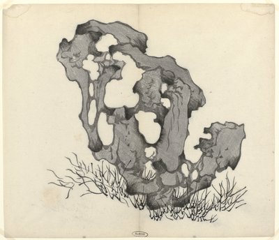 نتوء صخري بواسطة Zhengyen Hu (Ten Bamboo's Studio)