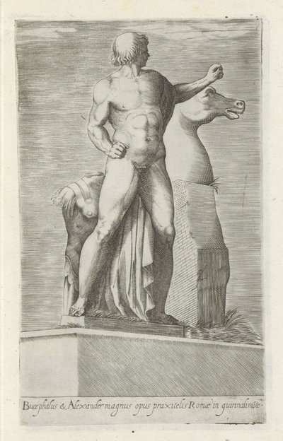 Sculptuur van een van de Dioscuren op het Quirinaal te Rome عمل Bucephalus والكسندر العظيم (...) (العنوان على الكائن) المنحوتات العتيقة في روما (عنوان السلسلة) أيقونات التماثيل القديمة لمدينة روما والتي تظهر في الأماكن العامة (عنوان السلسلة) بواسطة مجهول