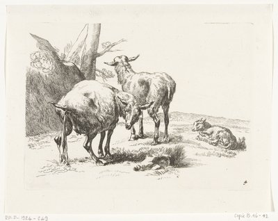 ماعزان واقفان وماعز صغير الماعز والأغنام إلى N.P. بيركيم (عنوان المسلسل) بواسطة جيرارد فالك
