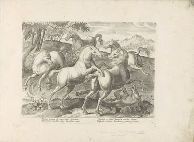 Vechtende paarden التقى مع een onder de voet gelopen paard الحصان الذي فيه جميع أنواع النبلاء: اختيار سلوك خيول متميز من مختلف أنحاء العالم (...) (عنوان السلسلة على الكائن) بواسطة جان فان دير سترايت