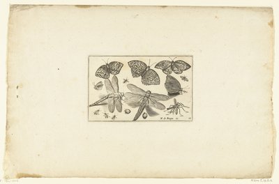 Vlinders en libellen Volatilium بمختلف أنواعه (...) (عنوان السلسلة) بواسطة كلايس جانز. فيشر (الثاني)