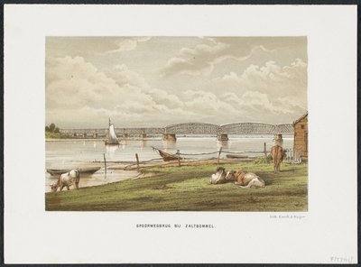 جسر وال بالقرب من Zaltbommel ، 1869 جسر للسكك الحديدية في Zaltbommel (العنوان على الكائن) جسور السكك الحديدية الرئيسية في هولندا (عنوان السلسلة) بواسطة بروس وشركاه.
