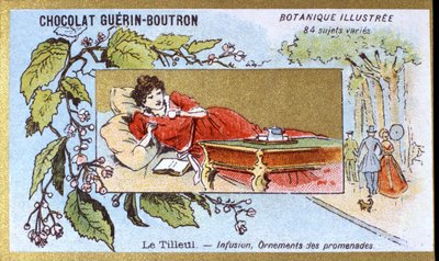 الزيزفون: تسريب ، زخارف مناحي. النقش (كرومو). الطباعة الحجرية الملونة الإعلانية لشوكولاتة Guerin-Boutron ، أواخر القرن التاسع عشر. سلسلة Illustree النباتية. بواسطة مجهول مجهول