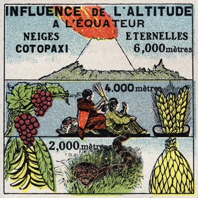 الأرصاد الجوية: تأثير الارتفاع على المناخ. رسم توضيحي مجهول من عام 1925. مجموعة خاصة. بواسطة مجهول مجهول