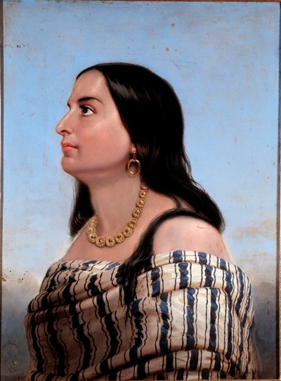 Portrait of Anita Garibaldi (1821-1849), wife of Giuseppe Garibaldi anonymous painting. Private Collection بواسطة مجهول مجهول