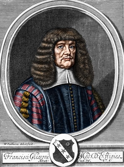 صورة لفرانسيس جليسون (1599-1677) طبيب بريطاني وعالم تشريح. بواسطة مجهول مجهول