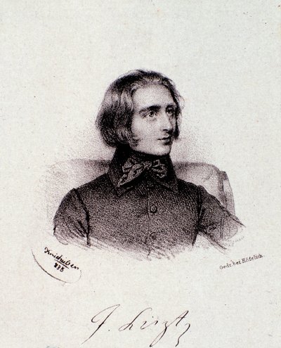 صورة للملحن المجري فرانز ليزت (1811-1886) نقش. القرن ال 19. مجموعة خاصة Milanese بواسطة مجهول مجهول