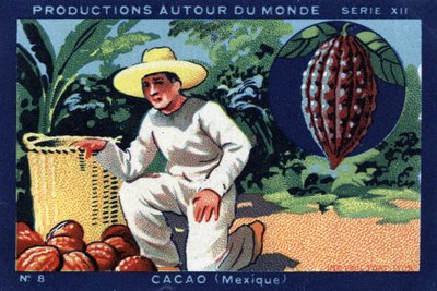 إنتاجات حول العالم: الكاكاو في المكسيك. الطباعة الحجرية الملونة لعام 1933 في "" ألبوم جوزيف ميليات " بواسطة مجهول مجهول