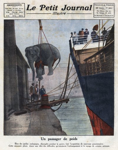 وصول فيل بالقارب تم اقتناؤه من حديقة حيوانات بعد الحرب. رسم إيضاحي مأخوذ من "" مجلة Le Petit Journal اللامعة "بتاريخ 20/11/1921. مجموعة خاصة بواسطة مجهول مجهول