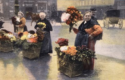 حفلة الأقحوان: تاجر أقحوان في الشارع. نقش. احدى جريدة "Le petit parisien" بتاريخ 20/11/1910. مجموعة خاصة. بواسطة مجهول مجهول