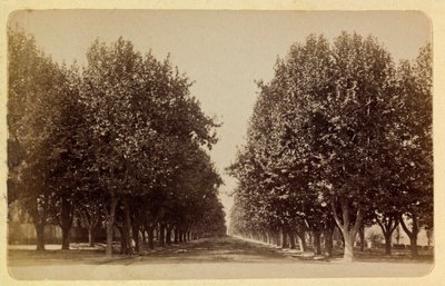 مدينة مرسيليا ومحيطها حوالي 1885-1890: مجموعة برادو الخاصة بواسطة مجهول مجهول