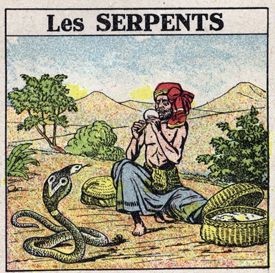 آثار الموسيقى: ساحر من ثعابين الكوبرا. رسم توضيحي مجهول من عام 1925. مجموعة خاصة. بواسطة مجهول مجهول